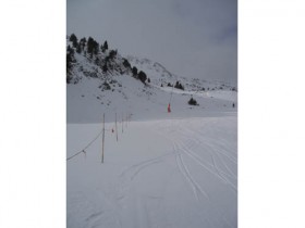 Check out the fresh tracks.