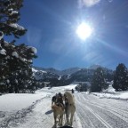 Perfect day for Mushing matched with beautiful scenery!